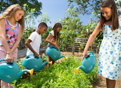 Programa “de grão em grão” em Ilhéus (BA).