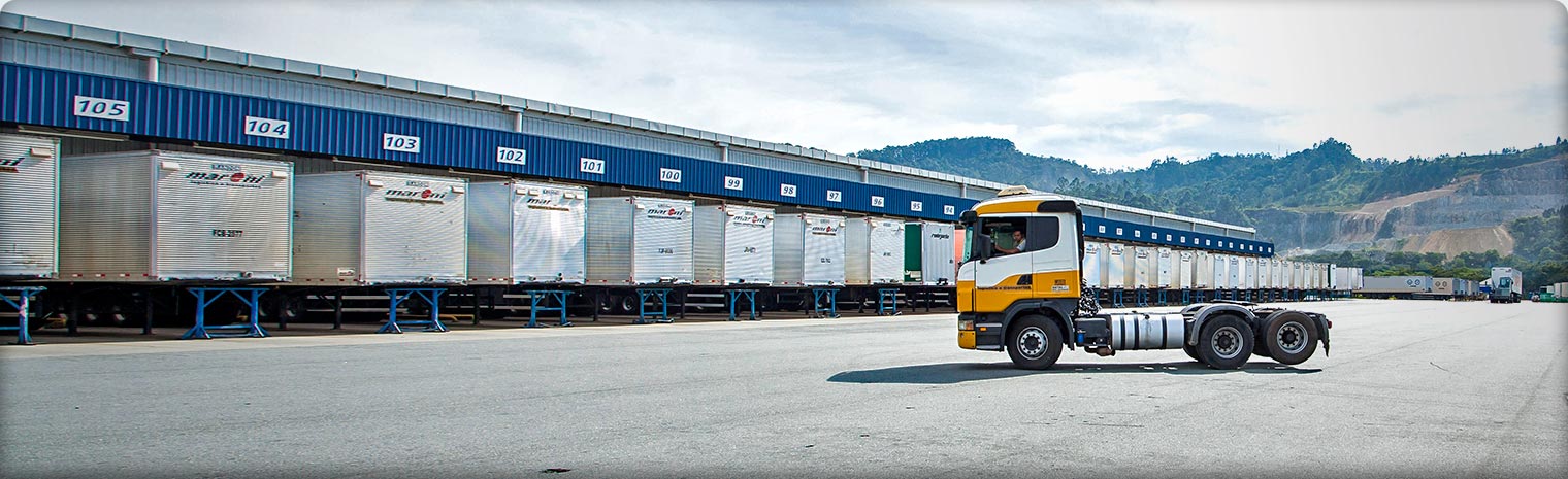logistica