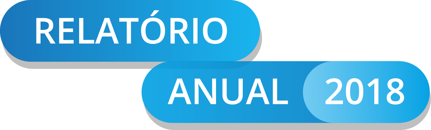 Relatório Anual 2018